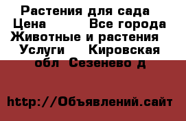 Растения для сада › Цена ­ 200 - Все города Животные и растения » Услуги   . Кировская обл.,Сезенево д.